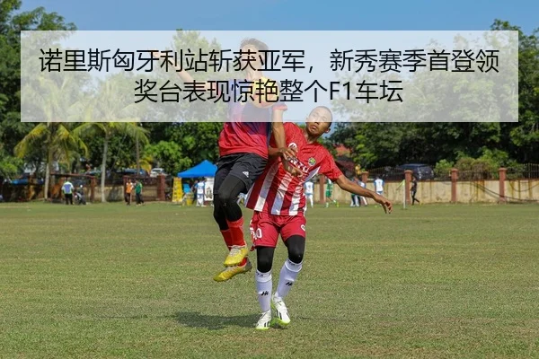 诺里斯匈牙利站斩获亚军，新秀赛季首登领奖台表现惊艳整个F1车坛